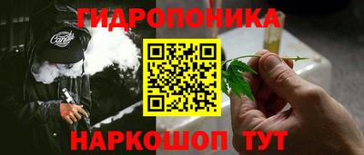 спайс Малгобек