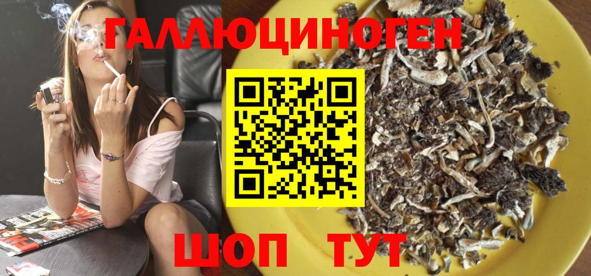 Псилоцибиновые грибы Cubensis  Псилоцибиновые грибы ЛСД  Чебоксары  Вход с VPN 